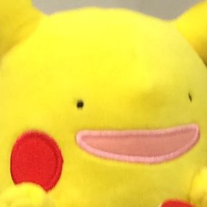 Meet your Posher, Leandro